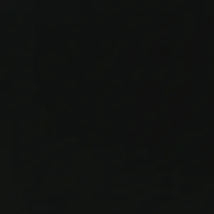 95% Organic Cotton, 5% Elastane French Terry - Black (2FT039)