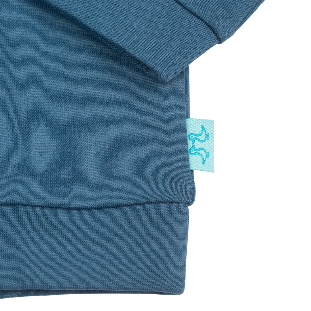 Blue Pull On Organic Cotton Hoodie