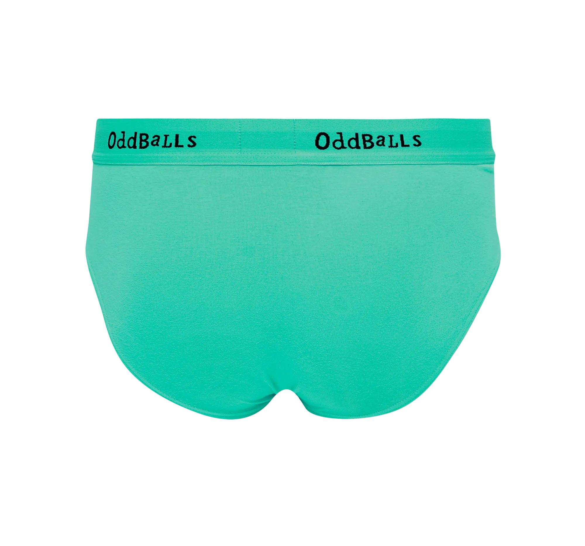 Cactus - Mens Briefs