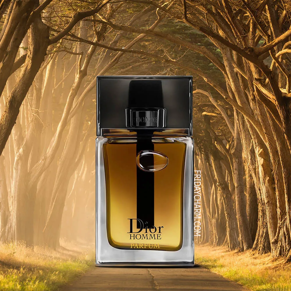 Christian Dior Dior Homme Parfum For Men
