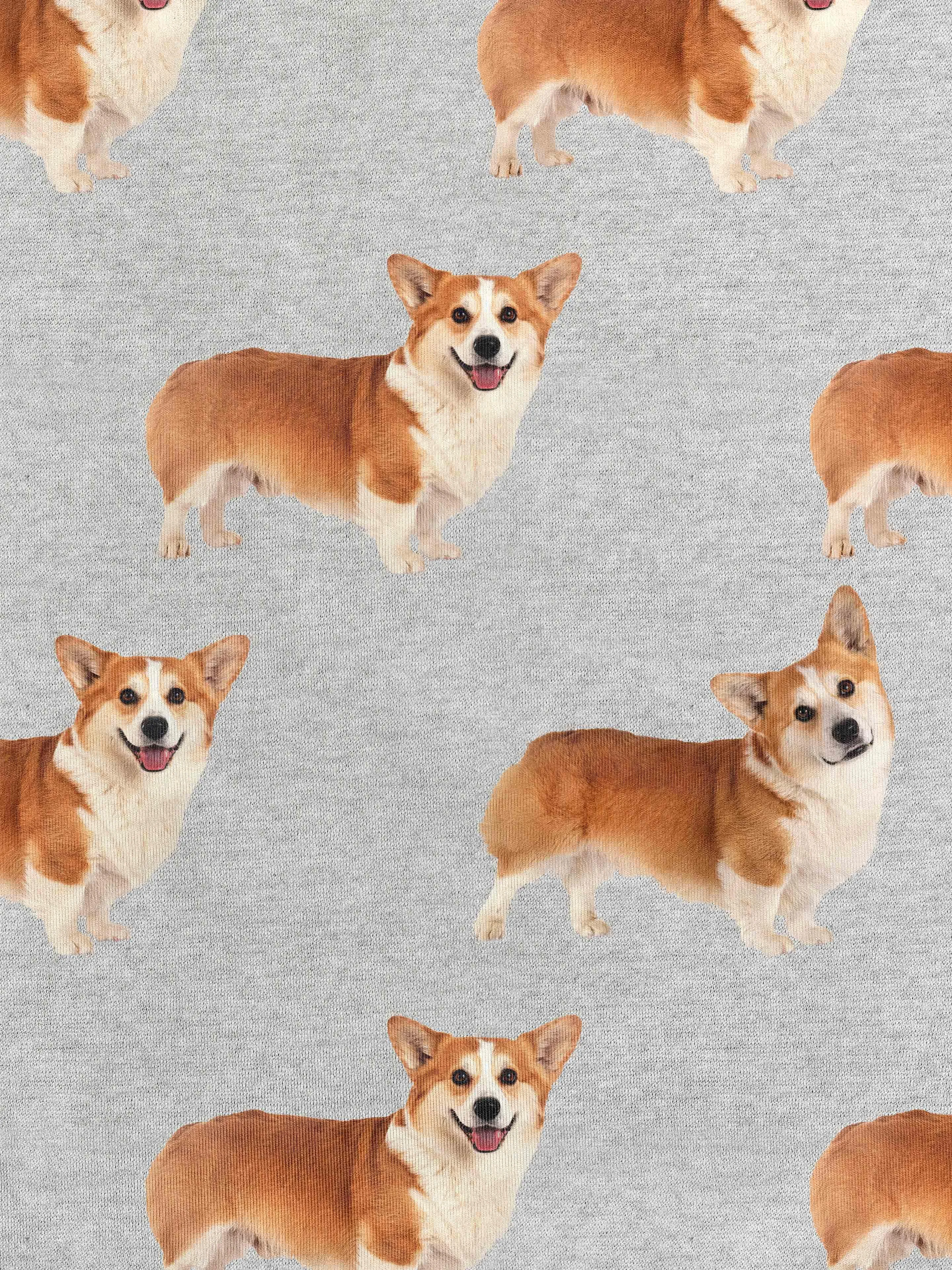 Corgi Time Legging Kids