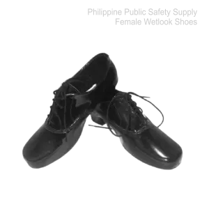 Female Wetlook Shoes