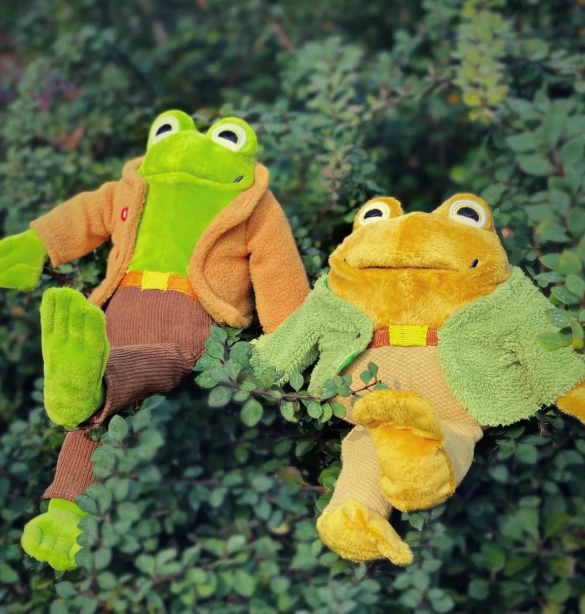 Frog and Tod set