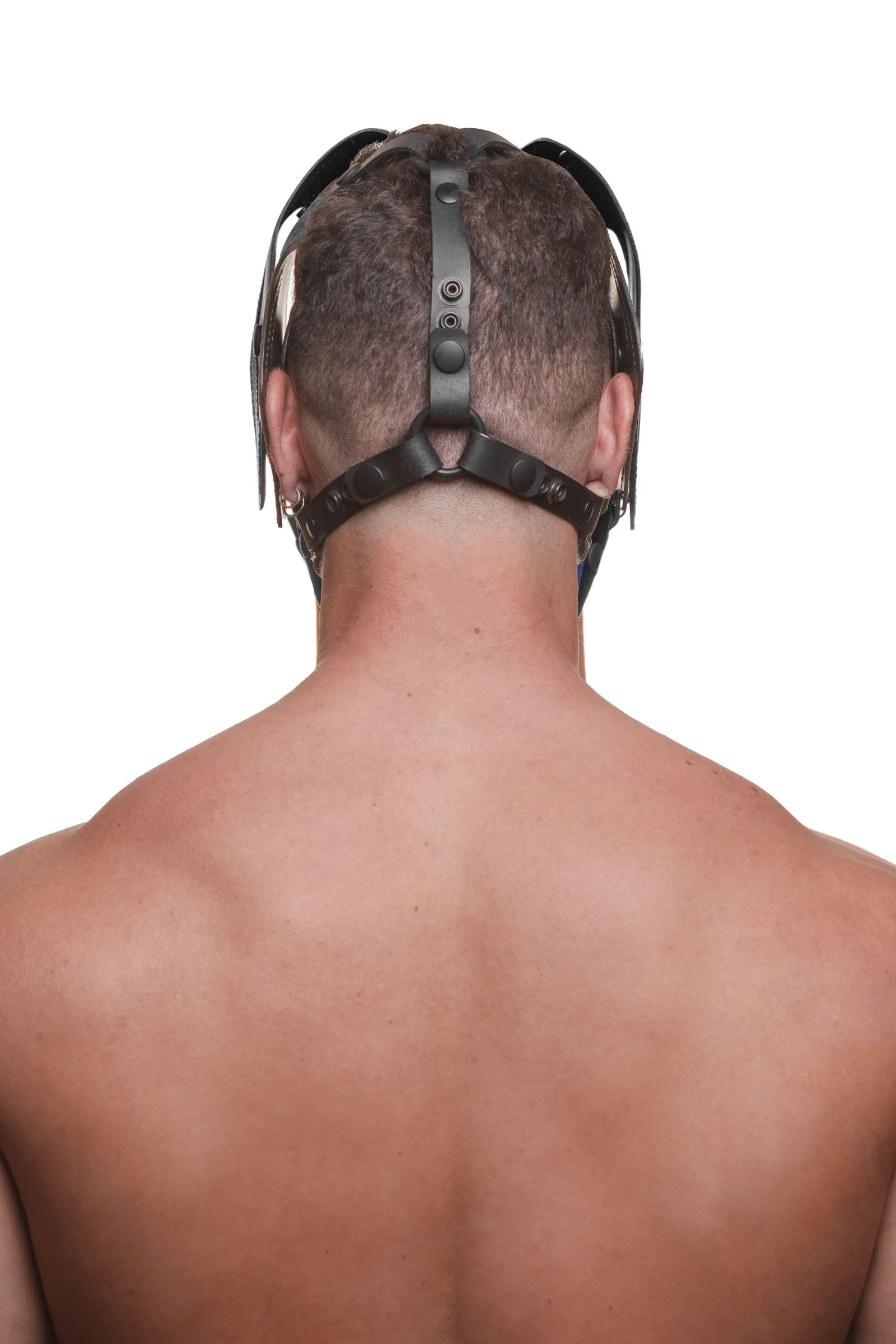 HEAD HARNESS PUP "RANGER" - Black