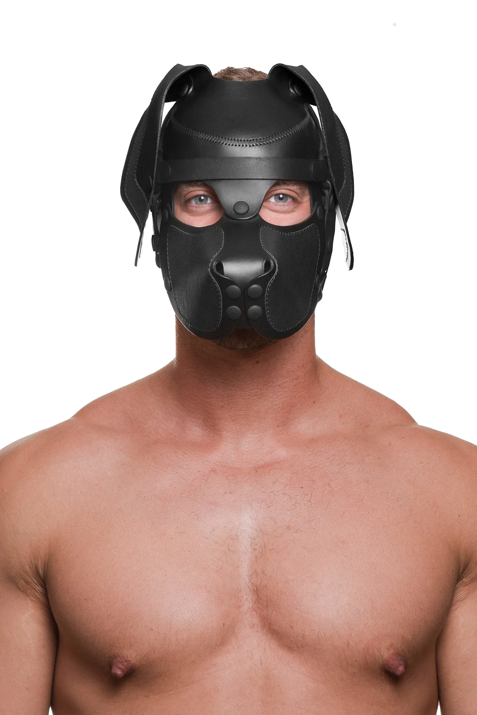 HEAD HARNESS PUP "RANGER" - Black