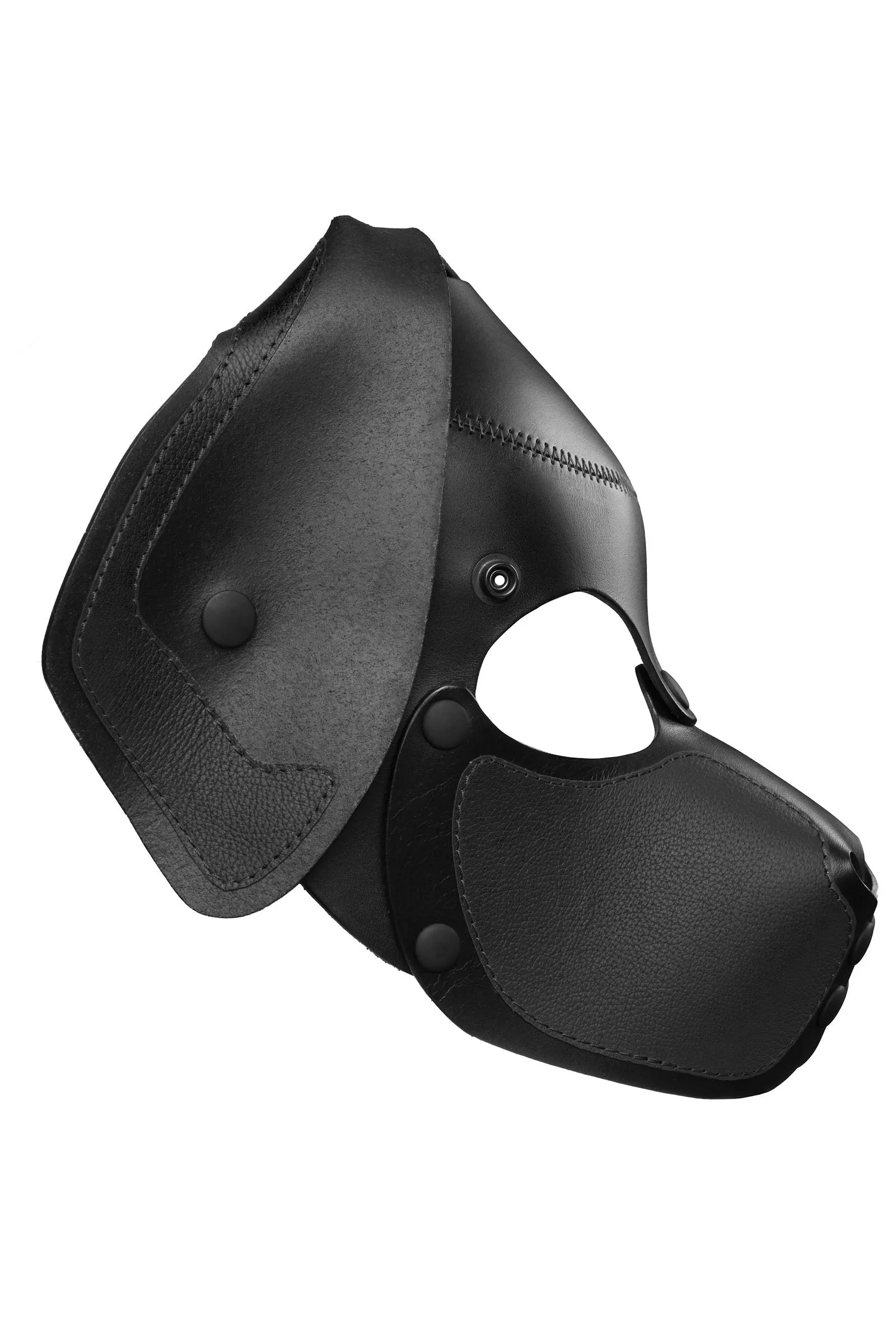 HEAD HARNESS PUP "RANGER" - Black