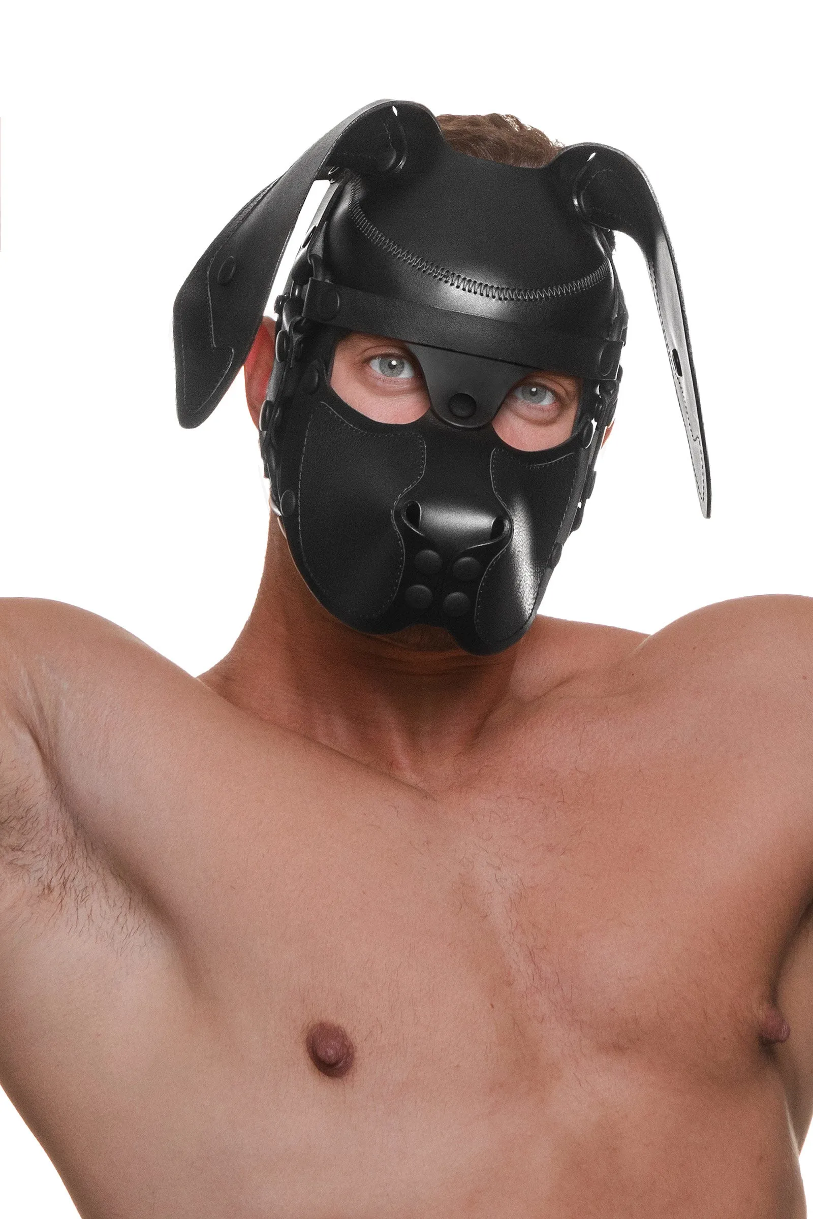 HEAD HARNESS PUP "RANGER" - Black