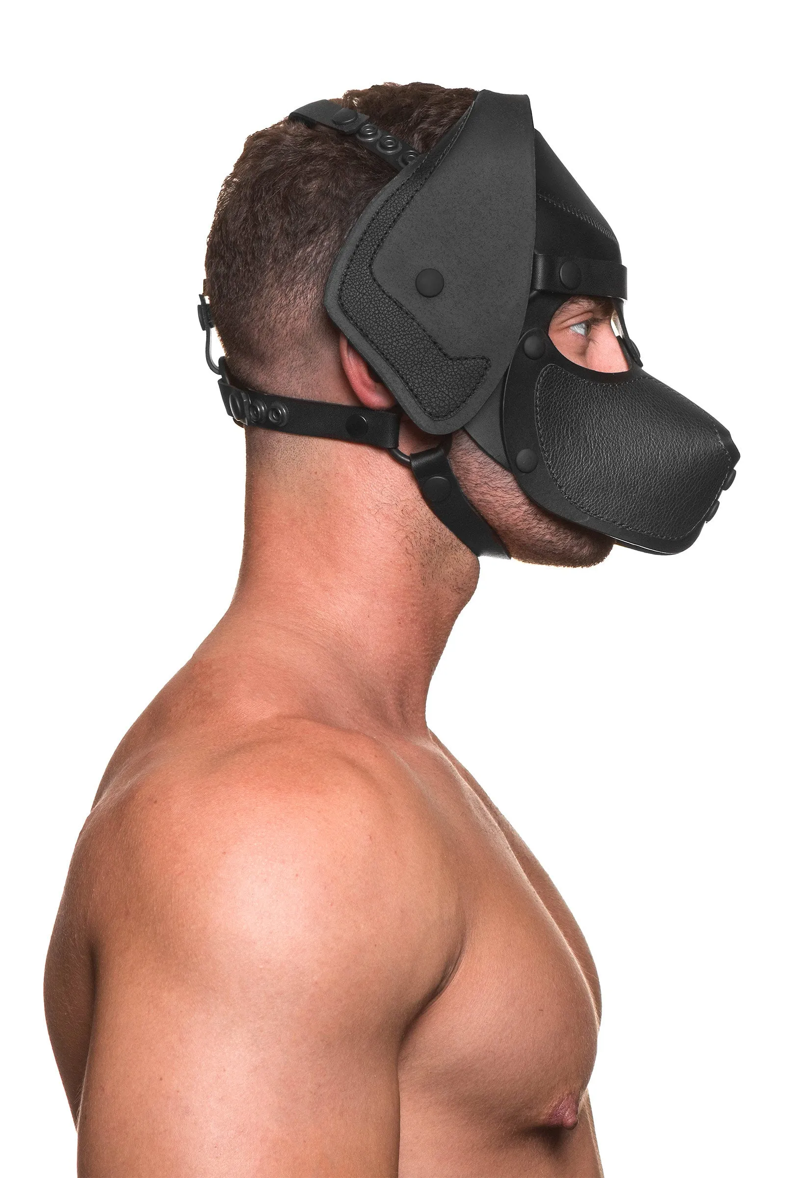 HEAD HARNESS PUP "RANGER" - Black