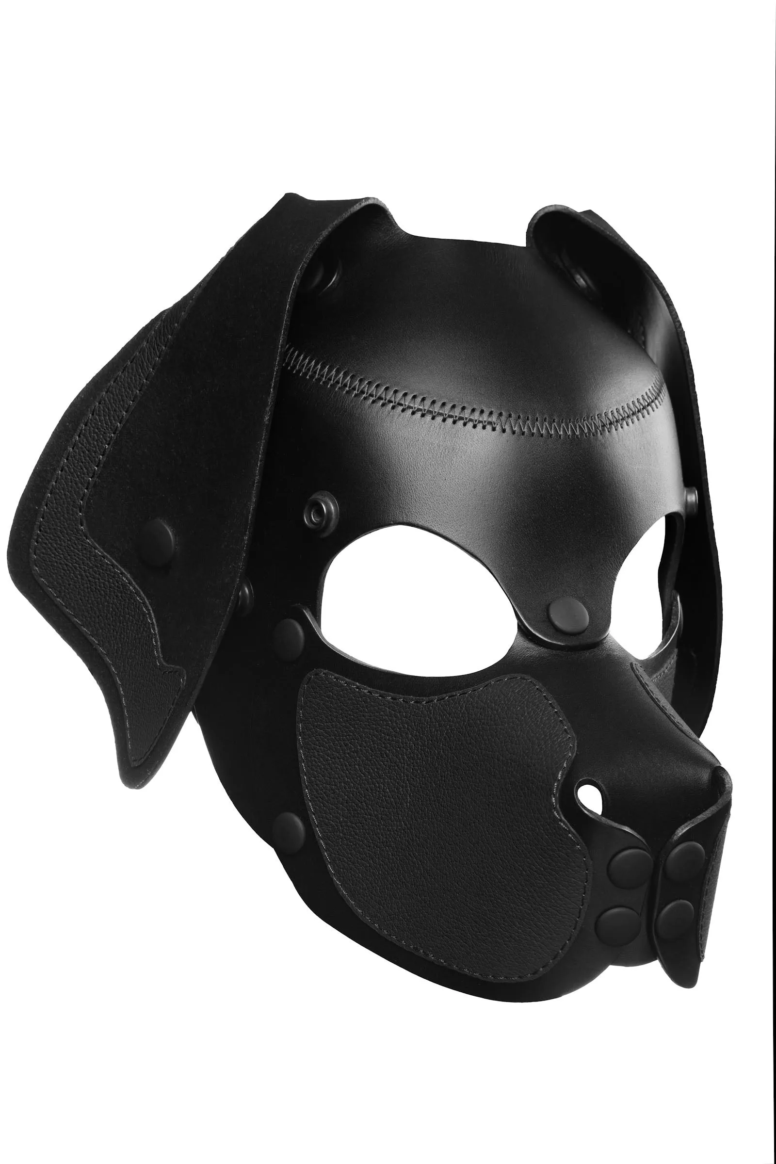 HEAD HARNESS PUP "RANGER" - Black