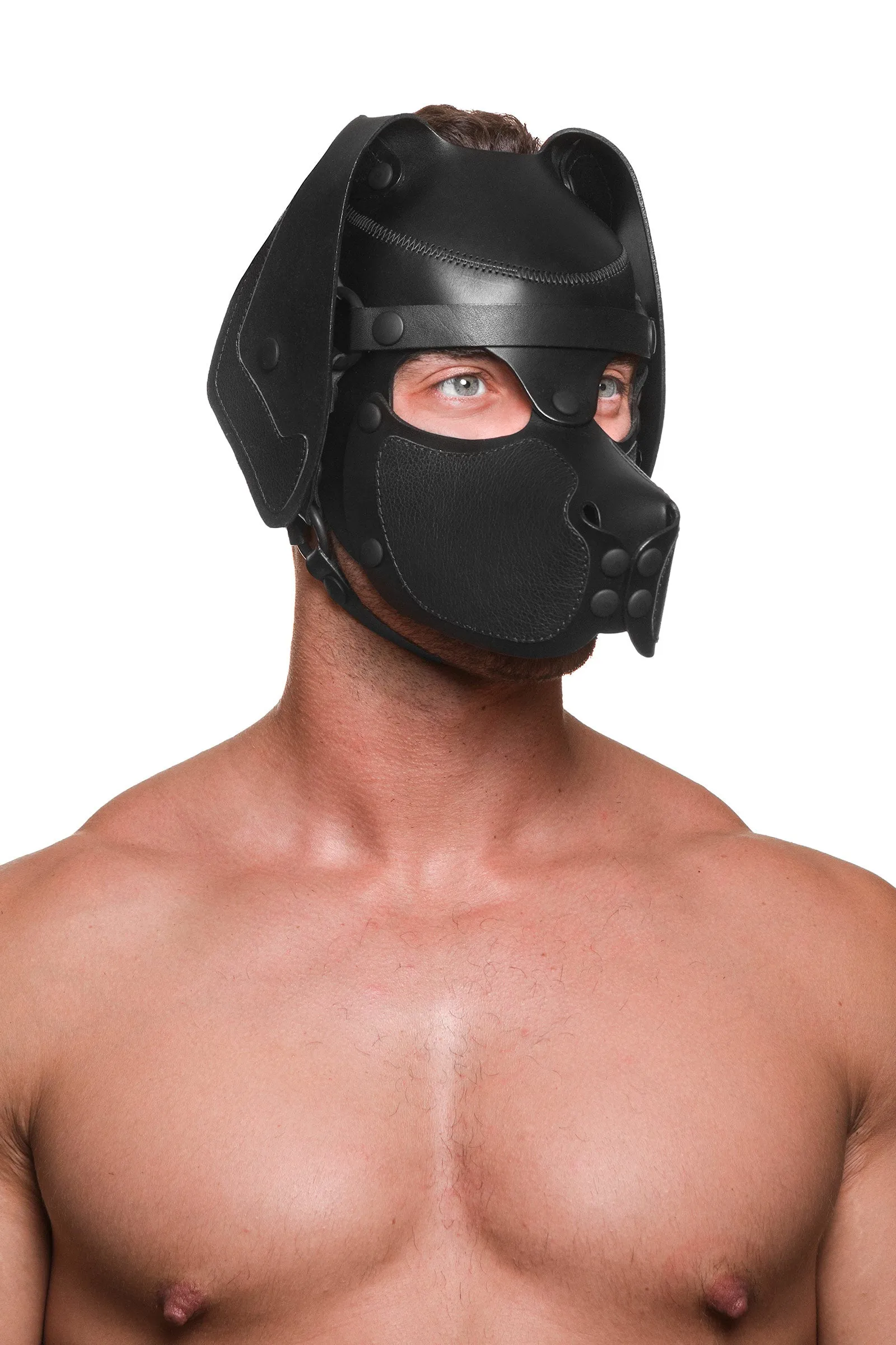 HEAD HARNESS PUP "RANGER" - Black
