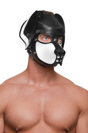 HEAD HARNESS PUP "RANGER" - White & Stainless Steel