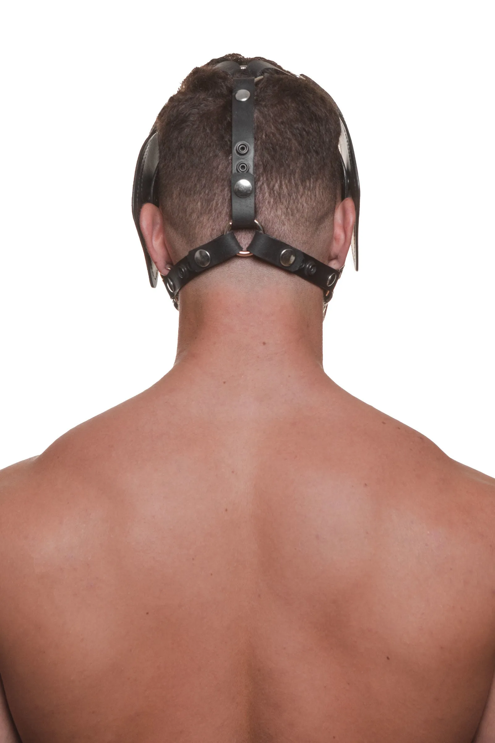 HEAD HARNESS PUP "RANGER" - White & Stainless Steel