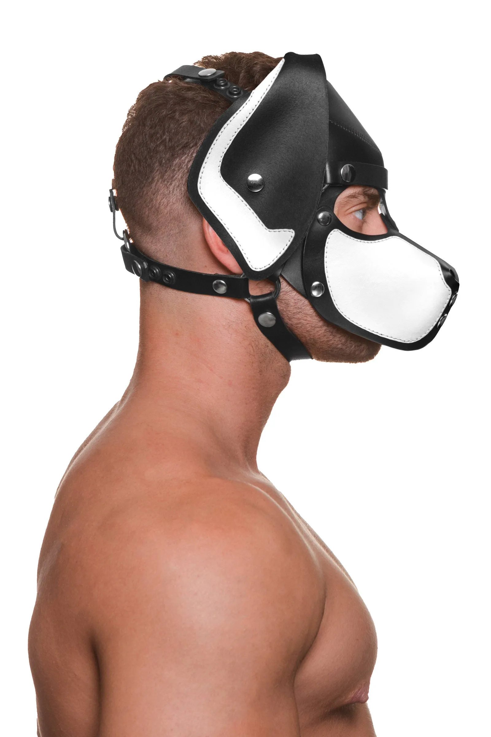 HEAD HARNESS PUP "RANGER" - White & Stainless Steel
