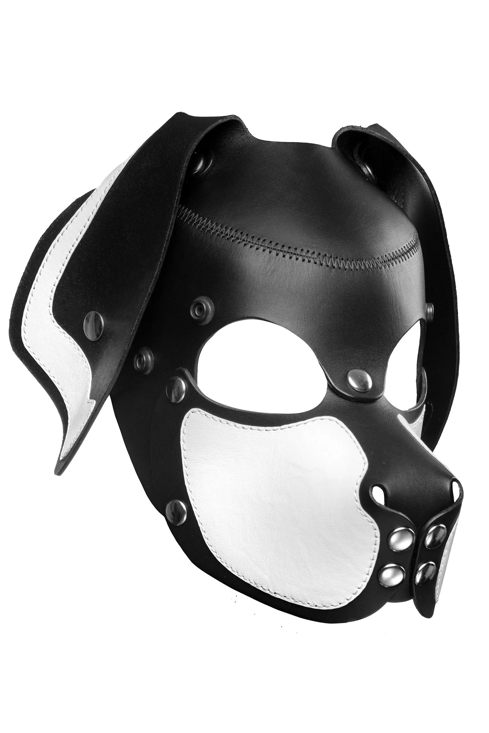 HEAD HARNESS PUP "RANGER" - White & Stainless Steel
