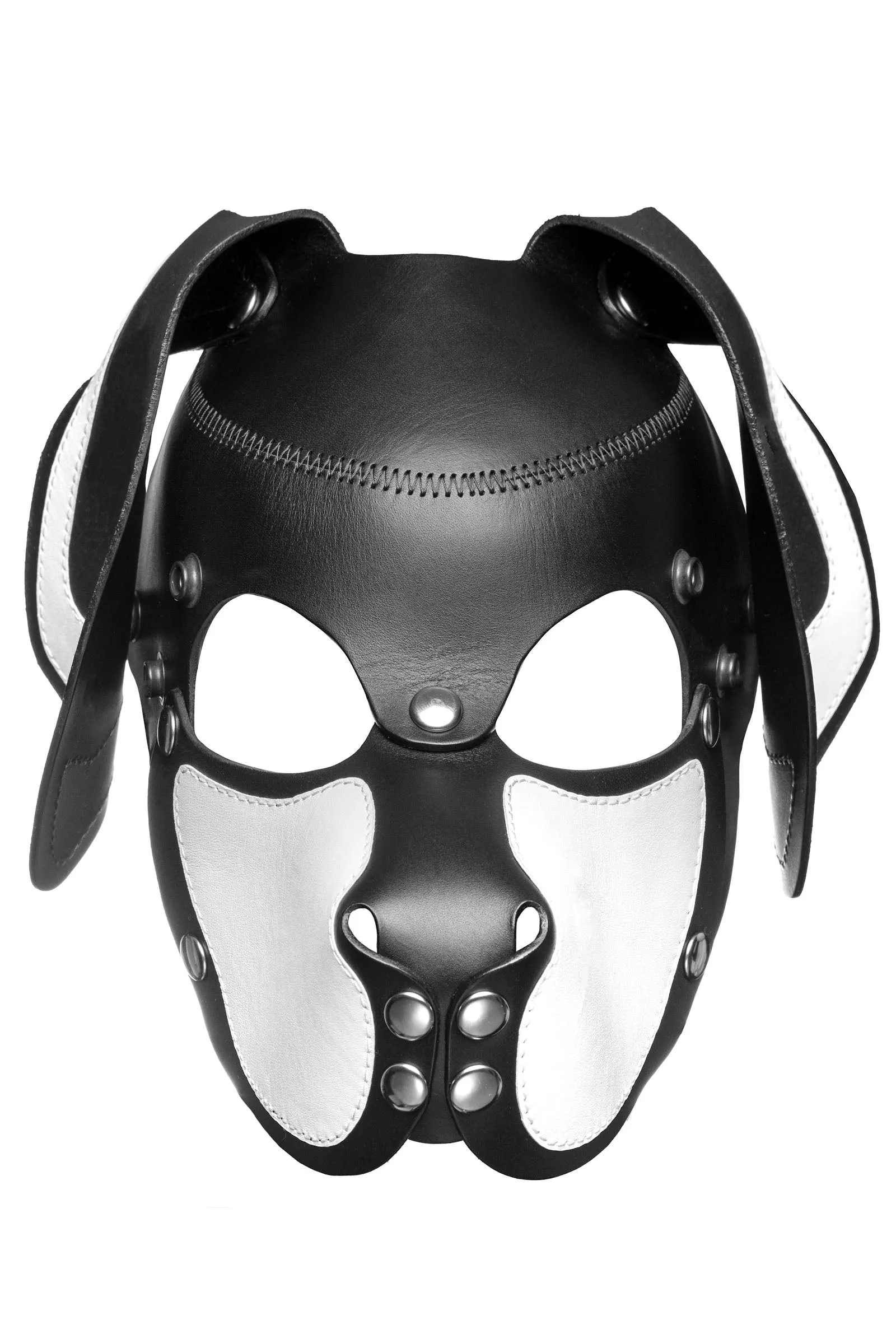 HEAD HARNESS PUP "RANGER" - White & Stainless Steel