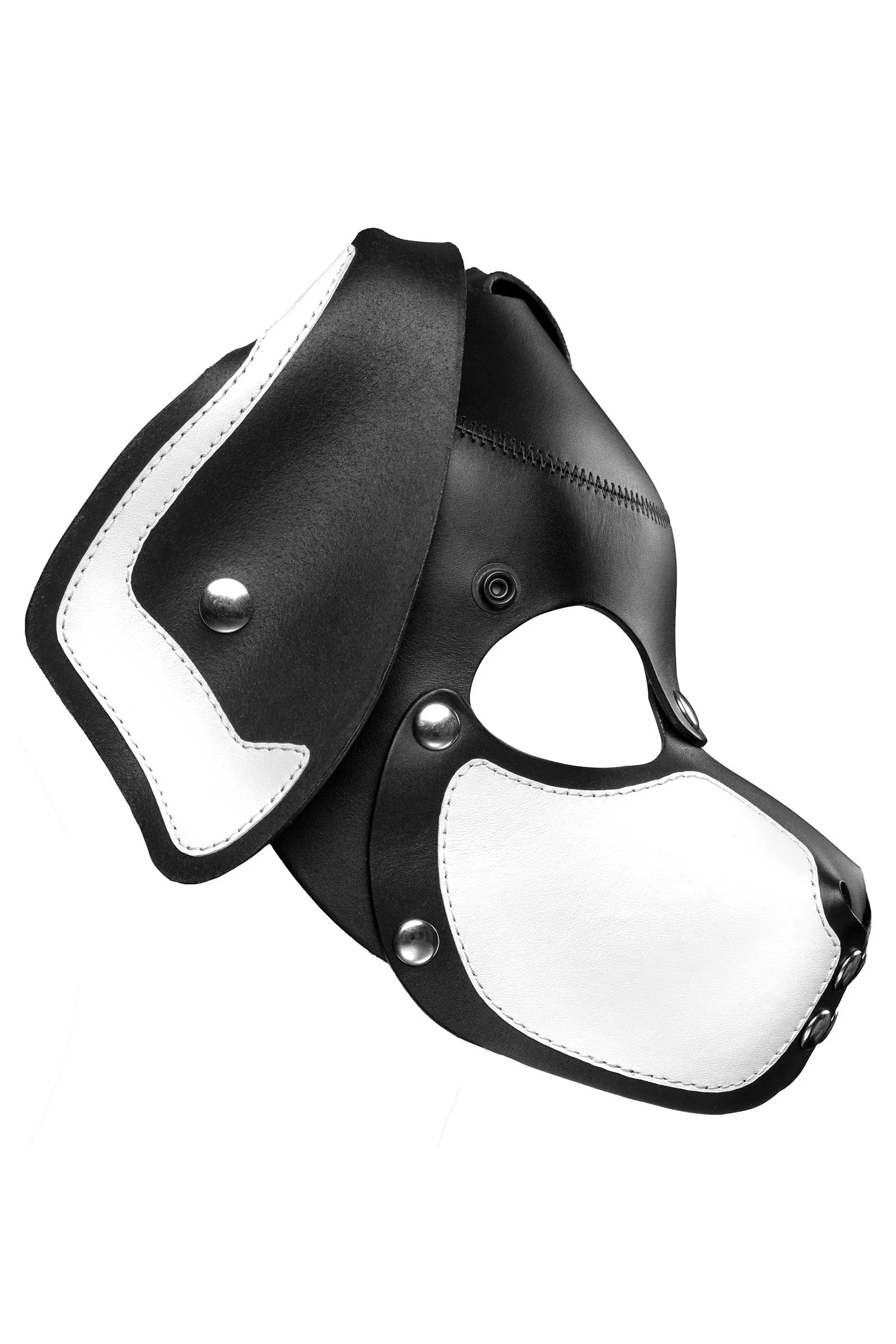 HEAD HARNESS PUP "RANGER" - White & Stainless Steel
