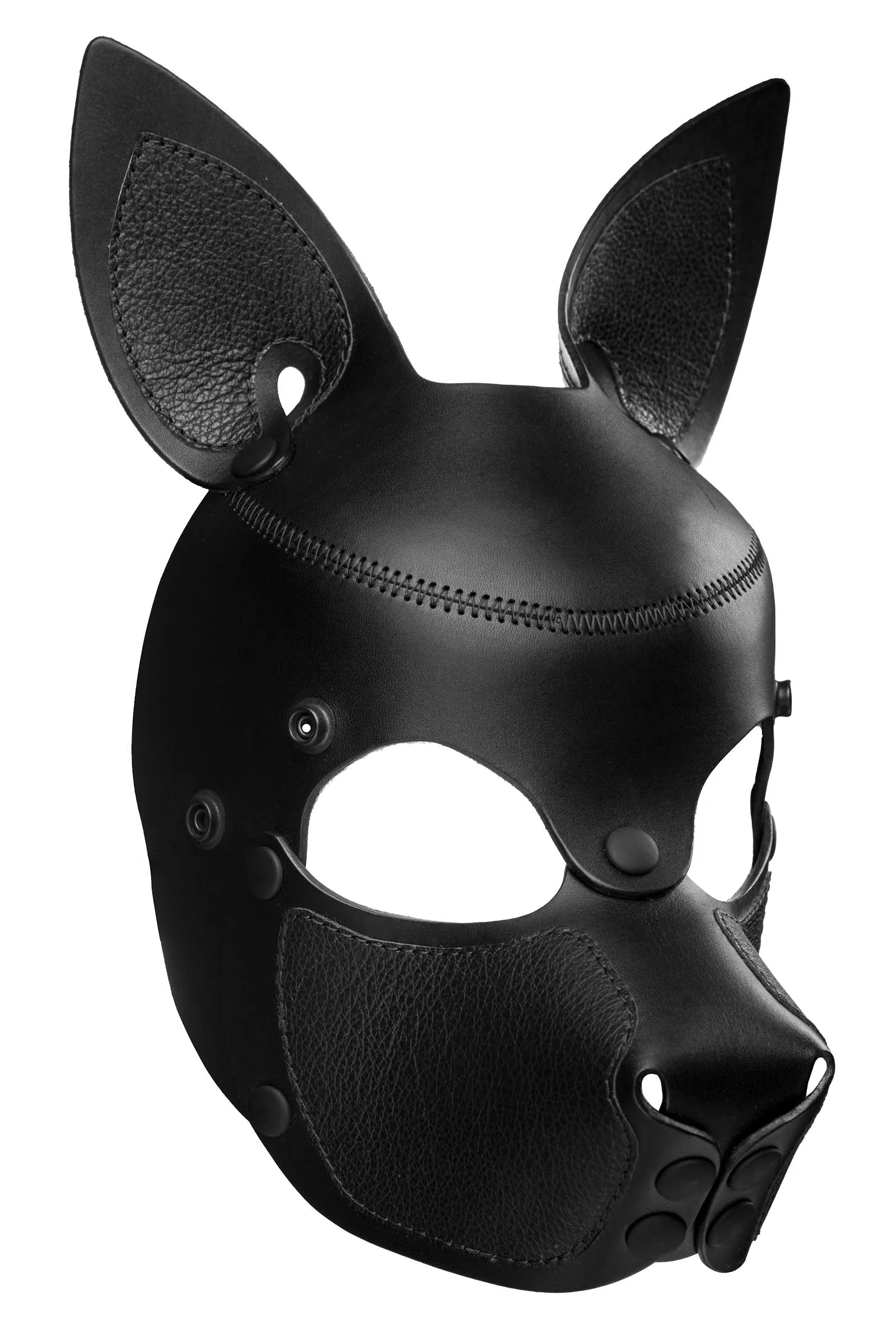 HEAD HARNESS PUP "SCOUT" - Black