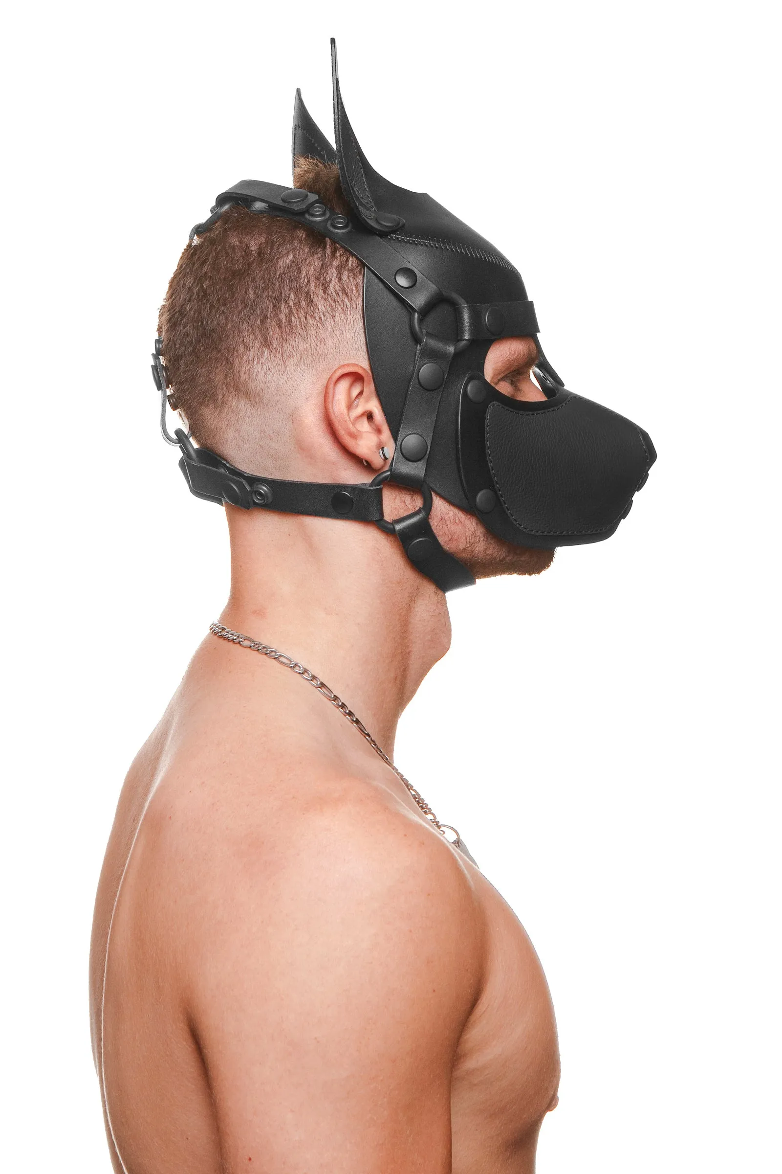 HEAD HARNESS PUP "SCOUT" - Black