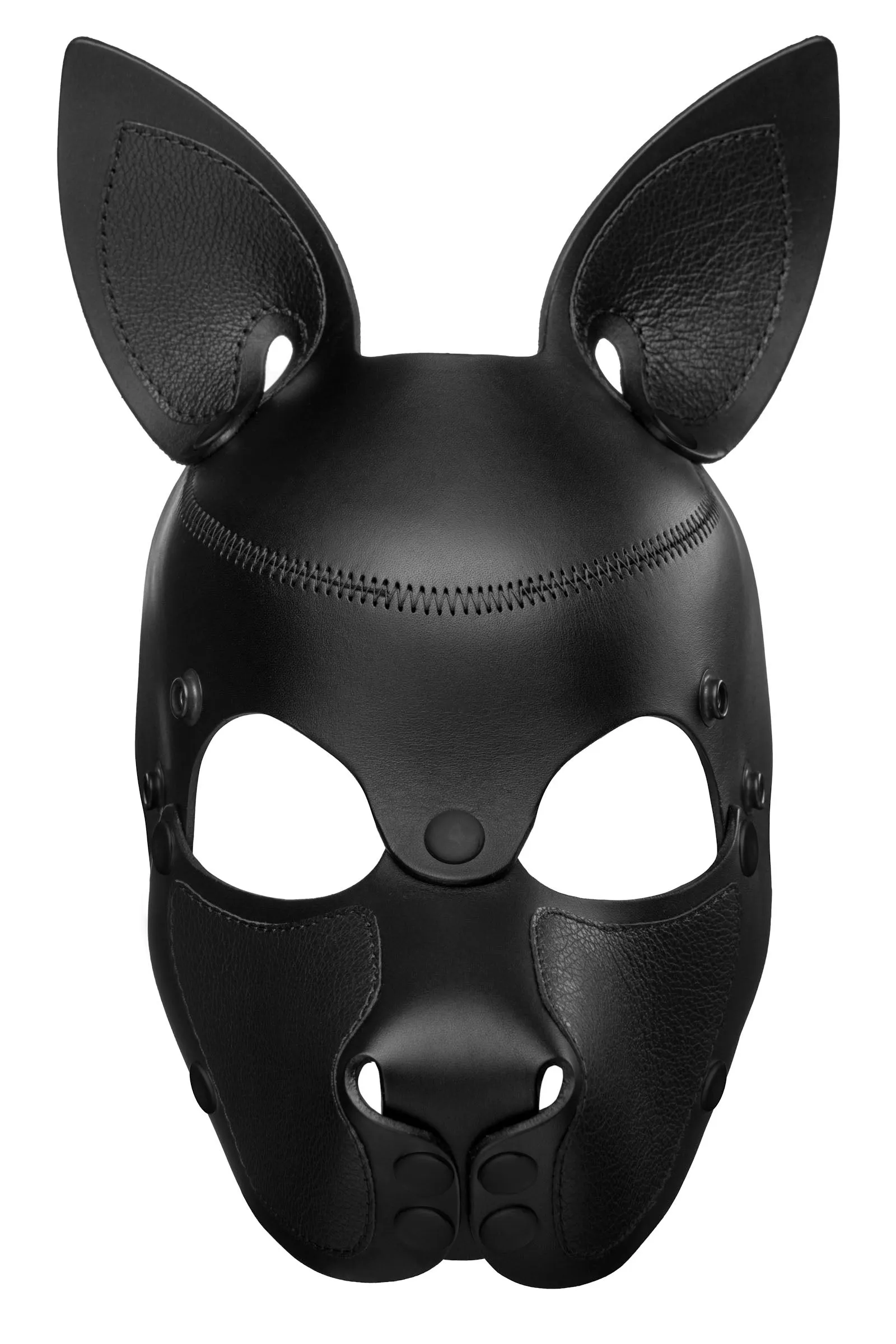 HEAD HARNESS PUP "SCOUT" - Black