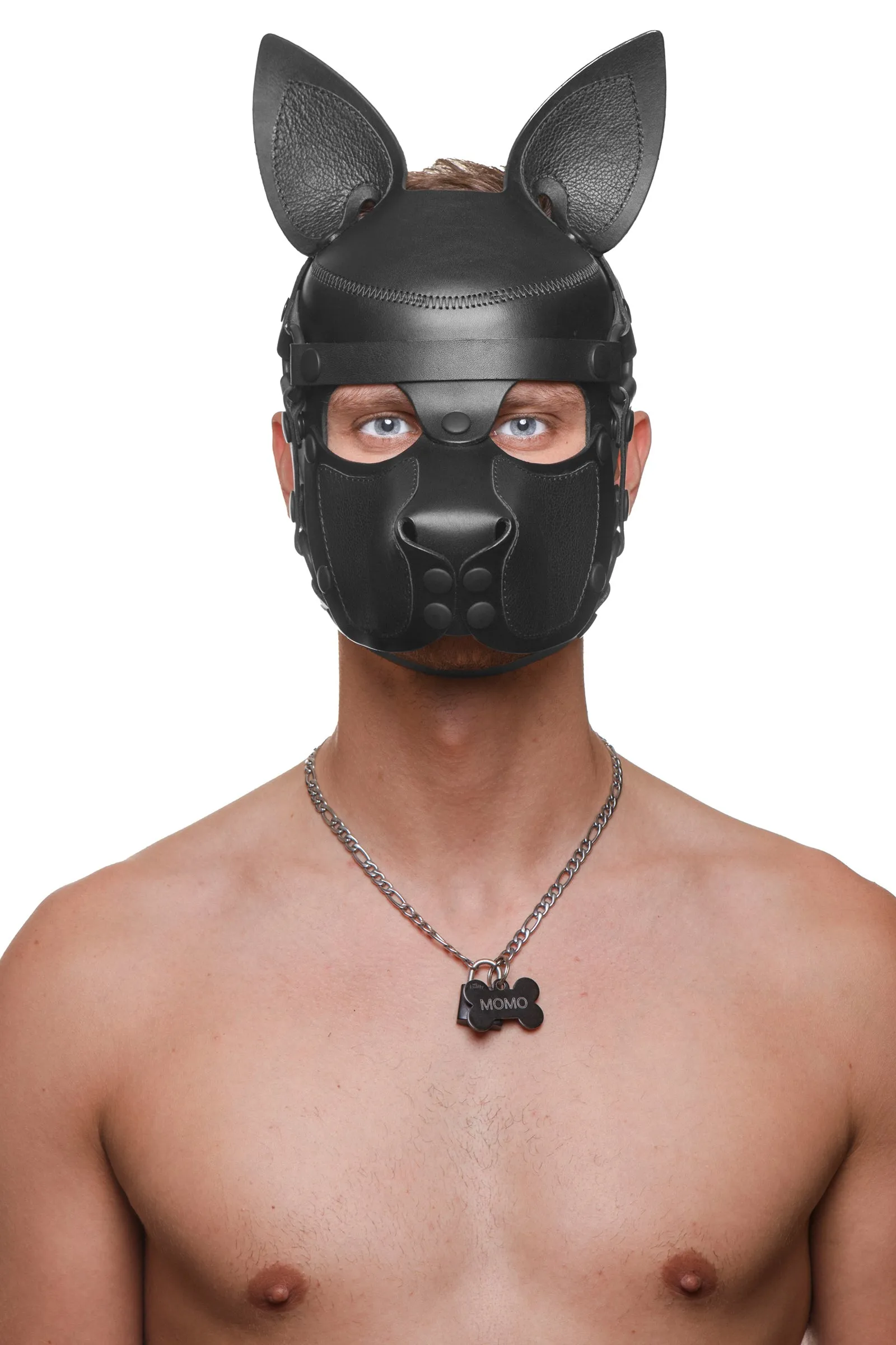 HEAD HARNESS PUP "SCOUT" - Black
