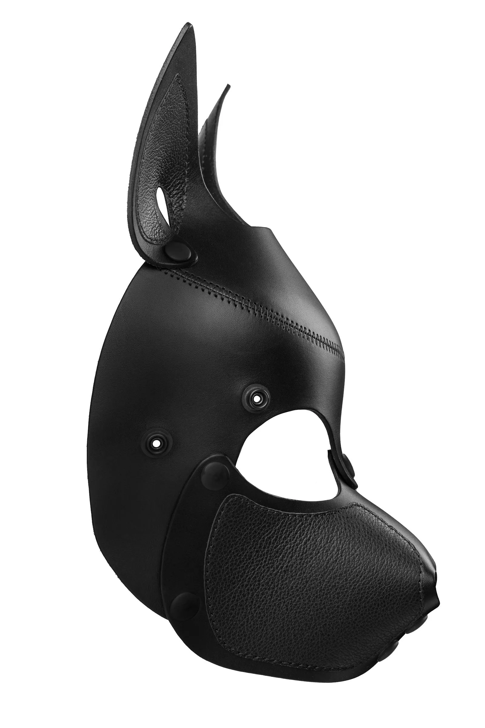 HEAD HARNESS PUP "SCOUT" - Black