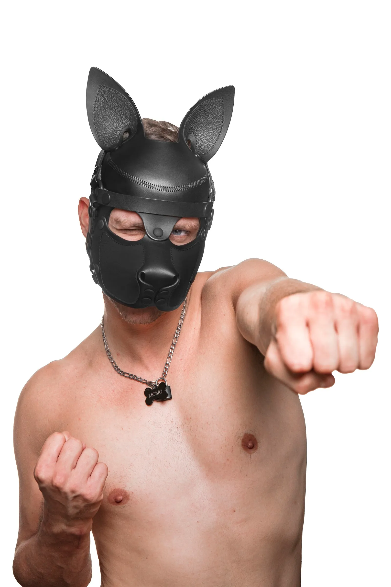 HEAD HARNESS PUP "SCOUT" - Black