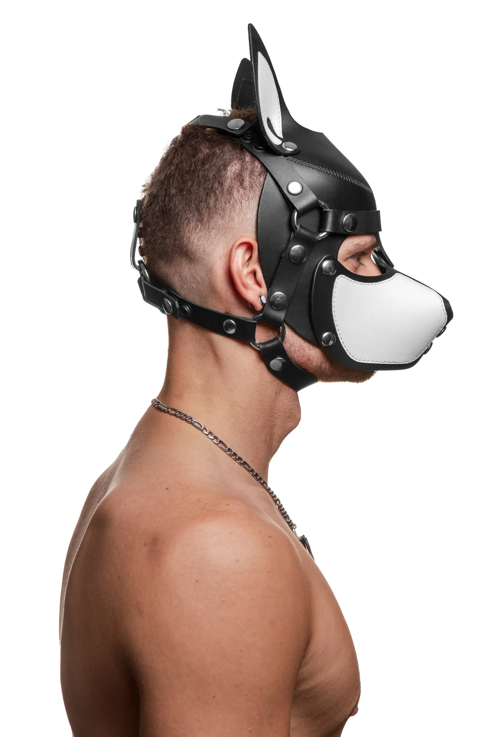 HEAD HARNESS PUP "SCOUT" - White & Stainless Steel