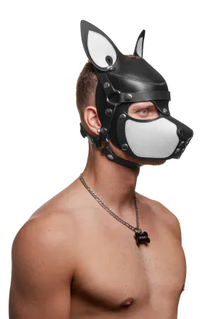 HEAD HARNESS PUP "SCOUT" - White & Stainless Steel