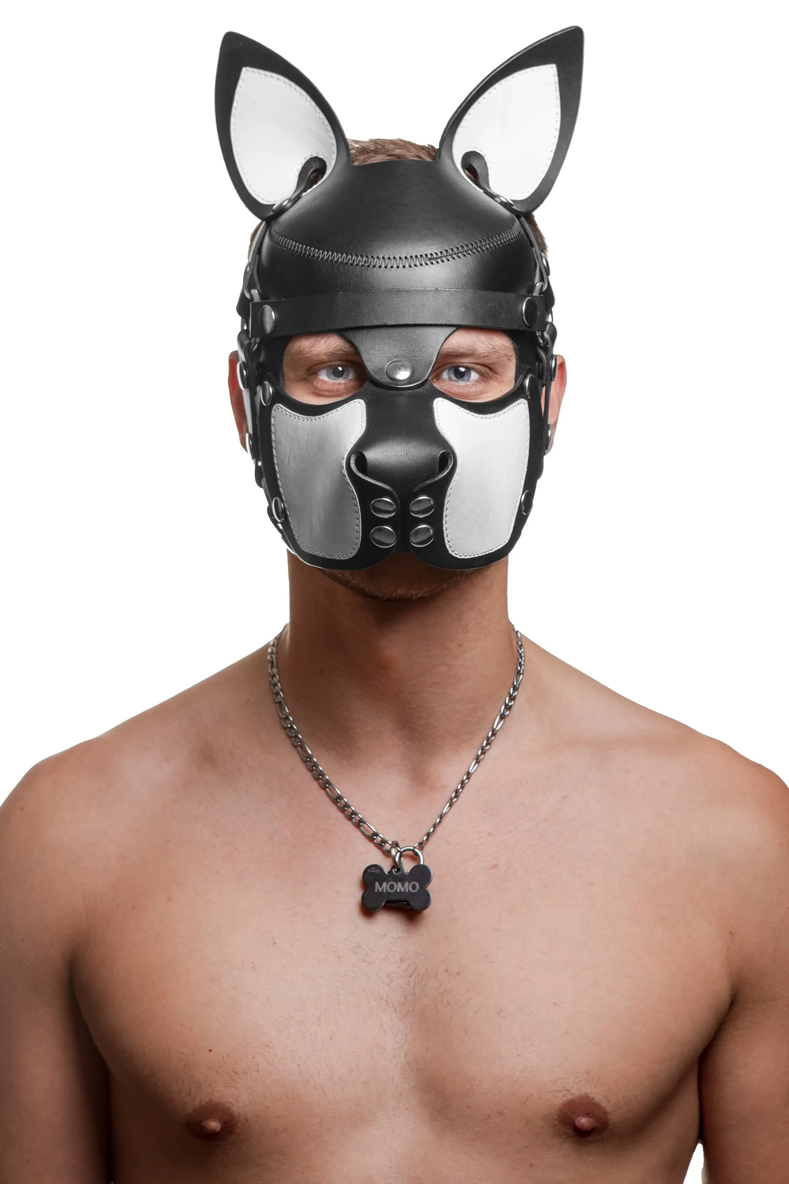 HEAD HARNESS PUP "SCOUT" - White & Stainless Steel
