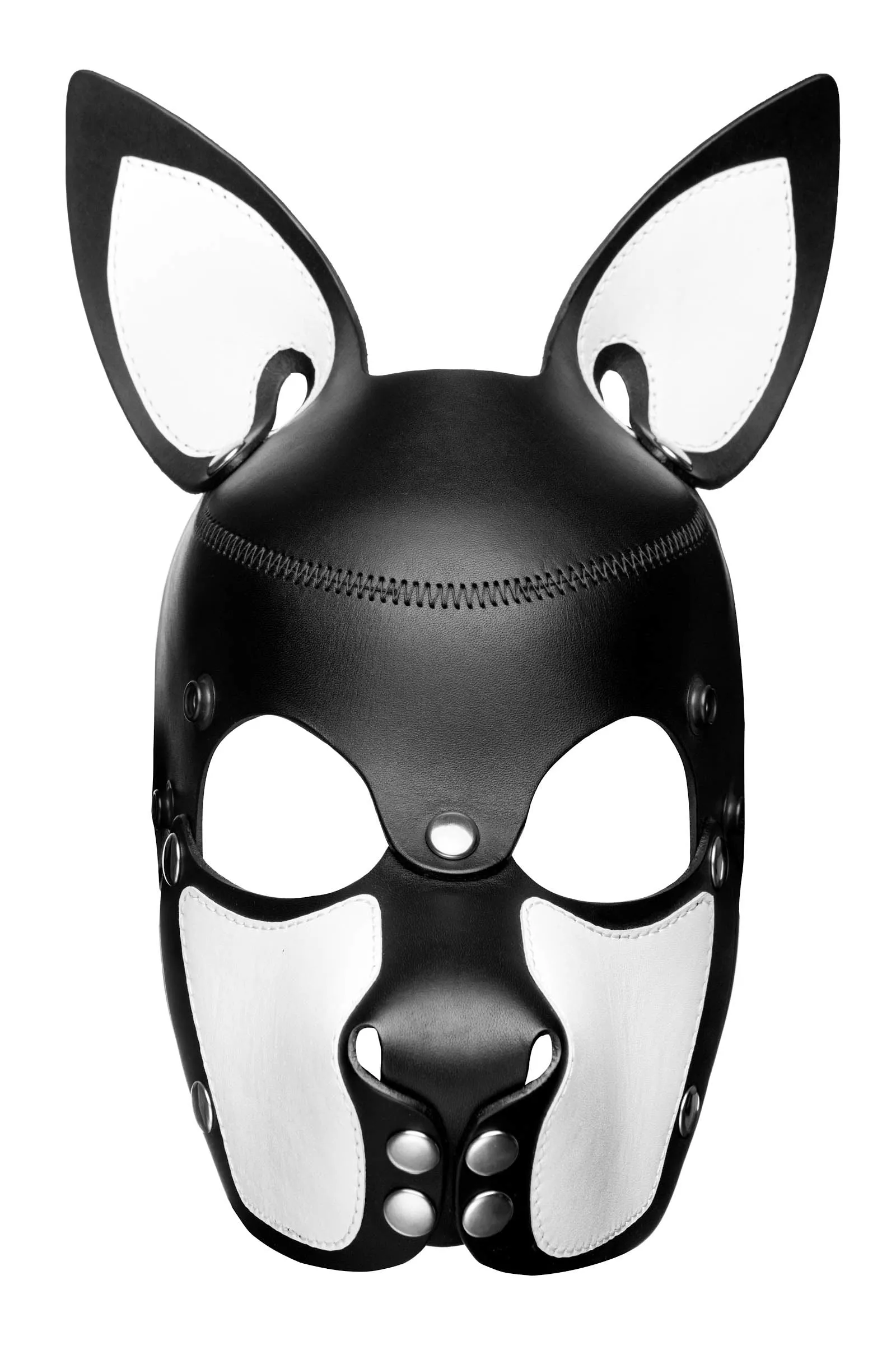 HEAD HARNESS PUP "SCOUT" - White & Stainless Steel