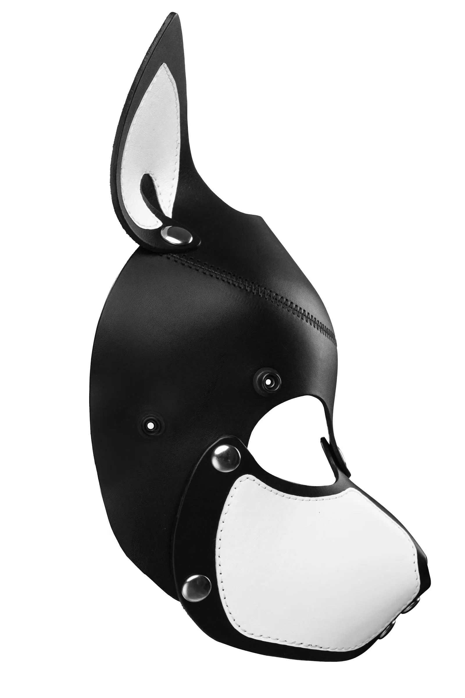HEAD HARNESS PUP "SCOUT" - White & Stainless Steel