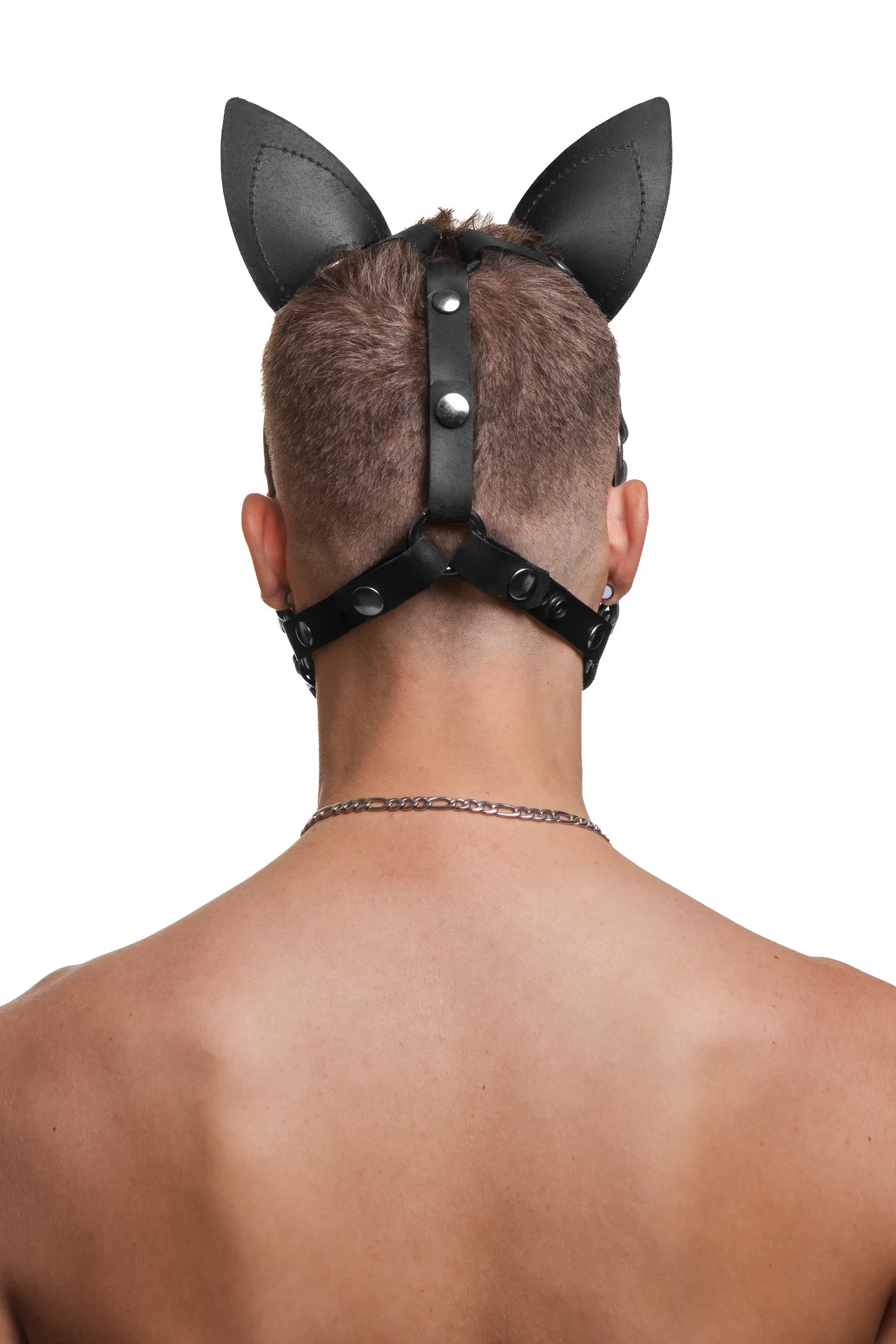 HEAD HARNESS PUP "SCOUT" - White & Stainless Steel
