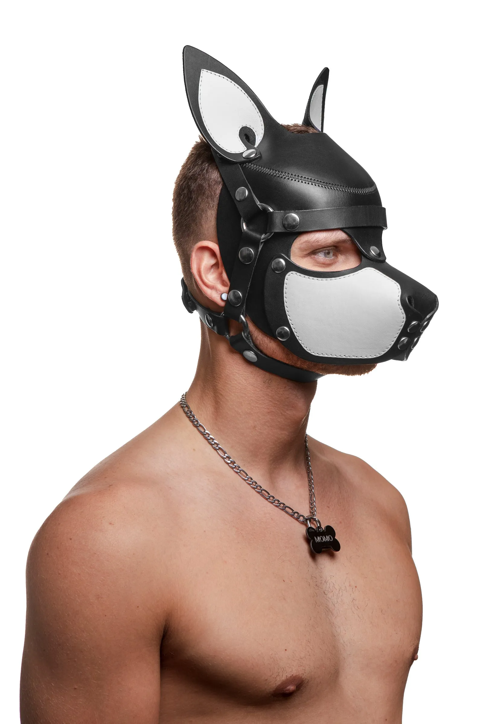 HEAD HARNESS PUP "SCOUT" - White & Stainless Steel