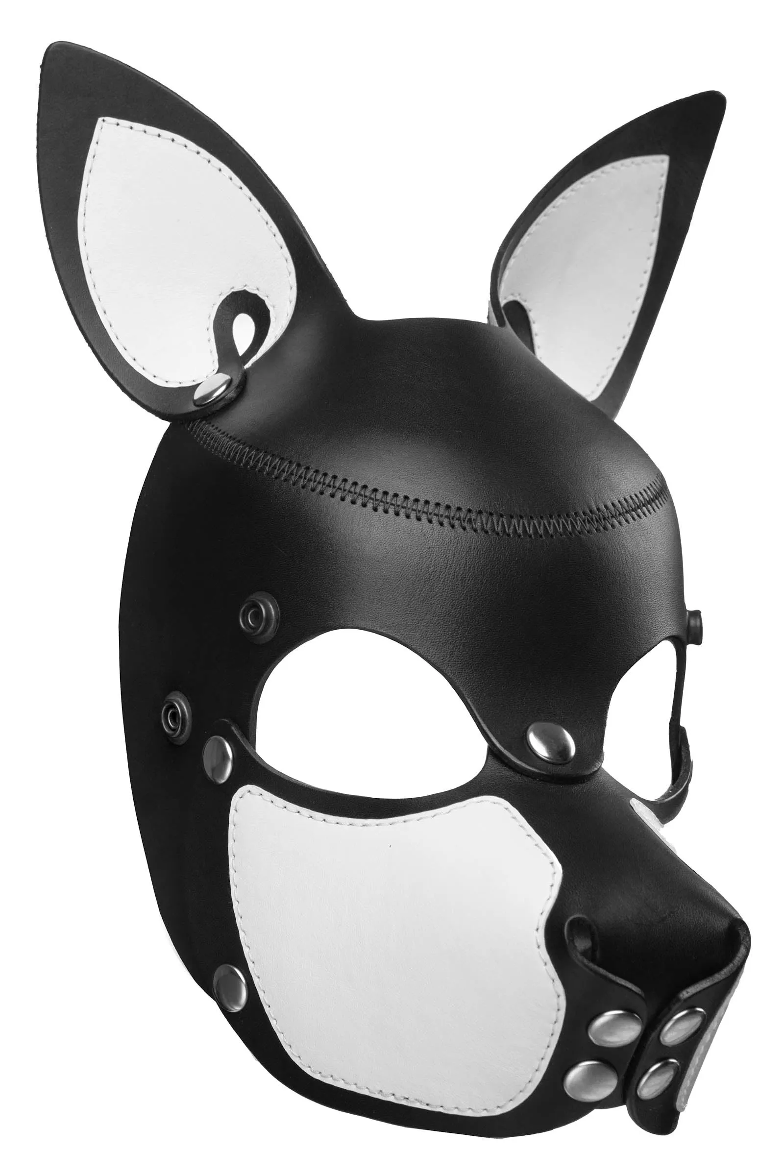 HEAD HARNESS PUP "SCOUT" - White & Stainless Steel
