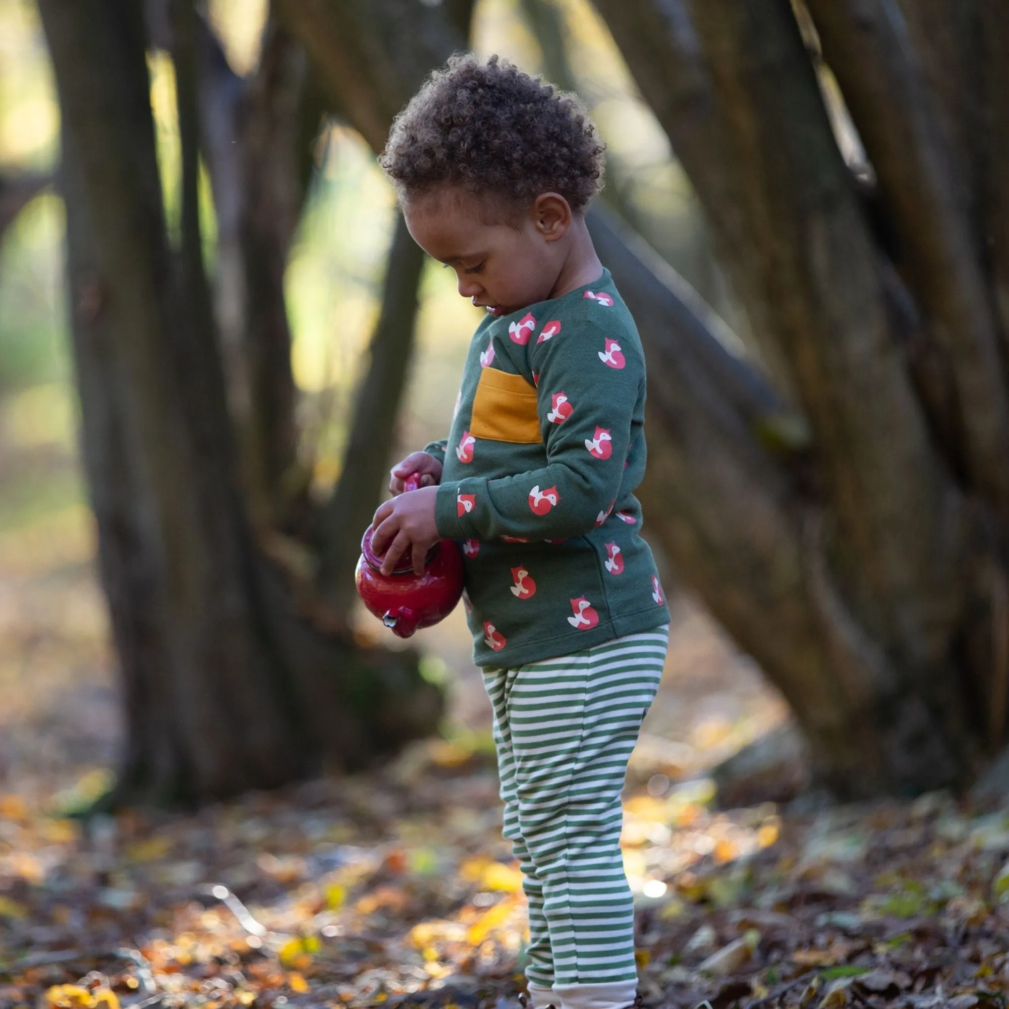 Little Fox Organic T-Shirt & Jogger Playset