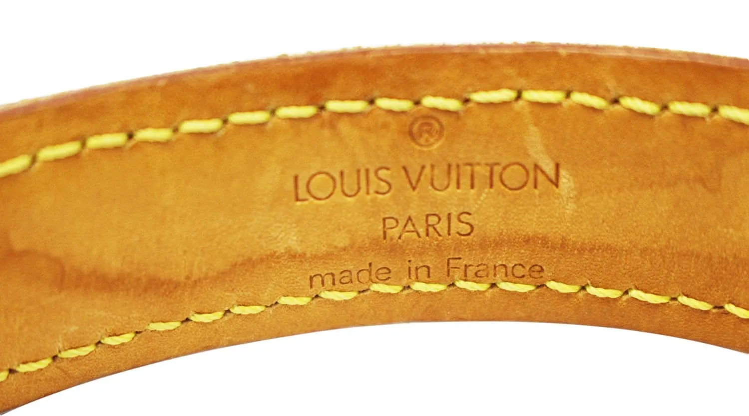 LOUIS VUITTON Monogram Canvas Collier Baxter MM Lead Dog Collar