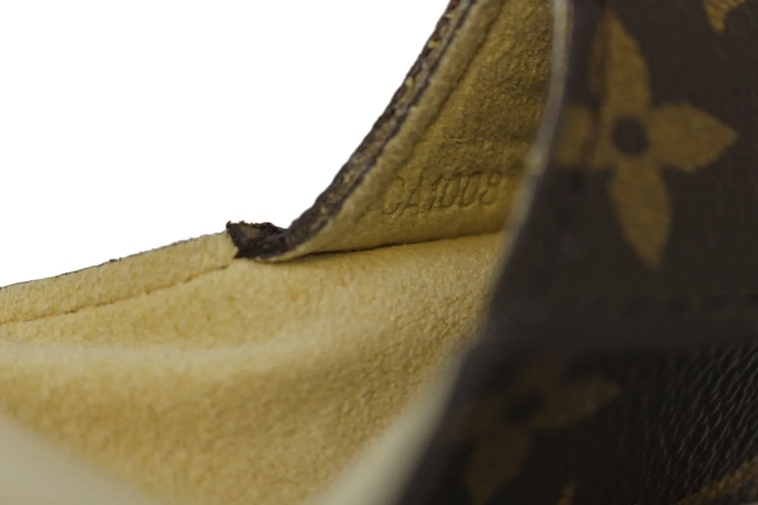 LOUIS VUITTON Monogram Etui Styro Pen Case