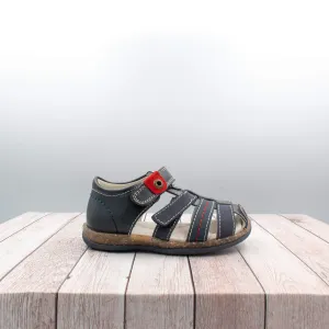 Max II - navy