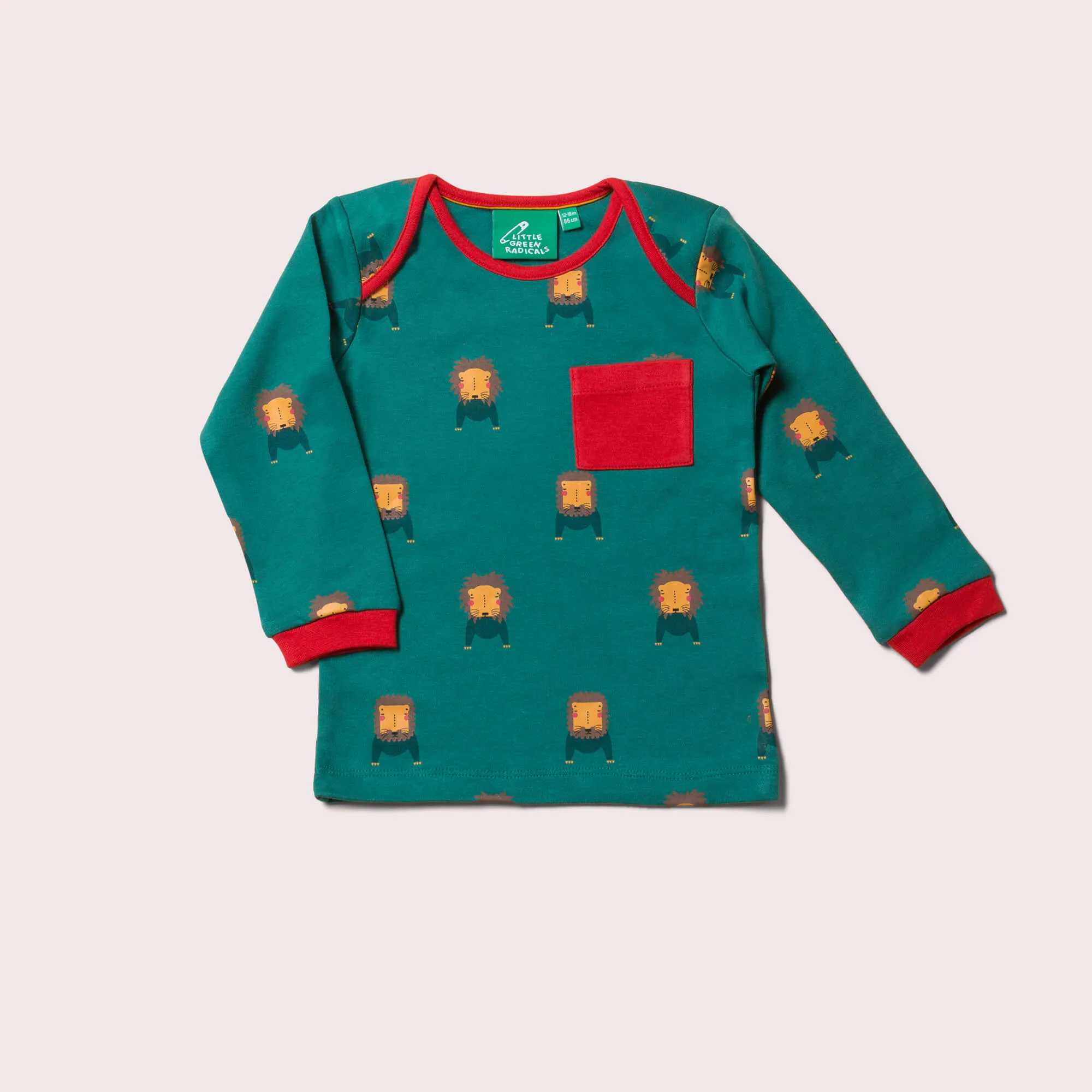 Mountain Lions Organic T-Shirt & Jogger Playset