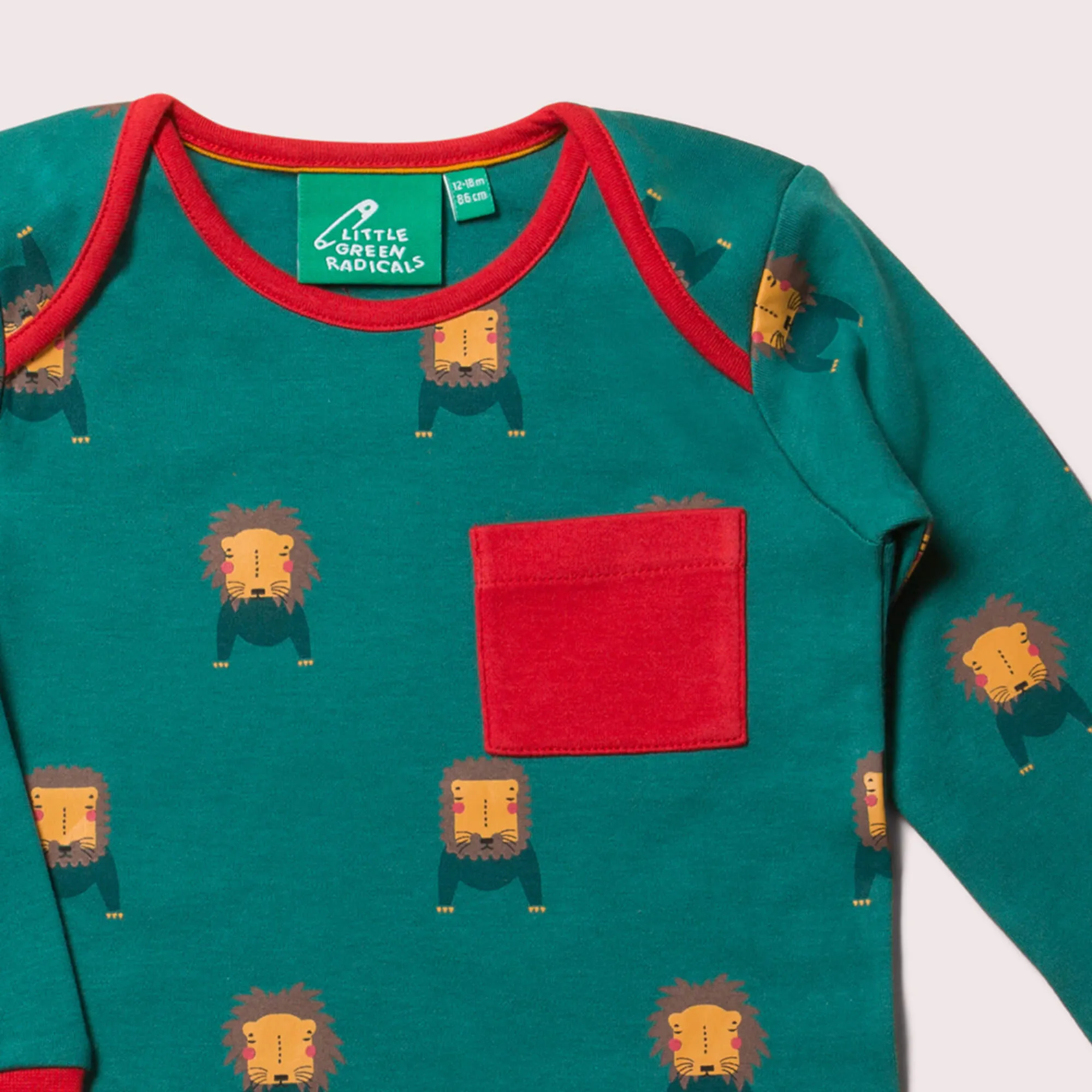Mountain Lions Organic T-Shirt & Jogger Playset