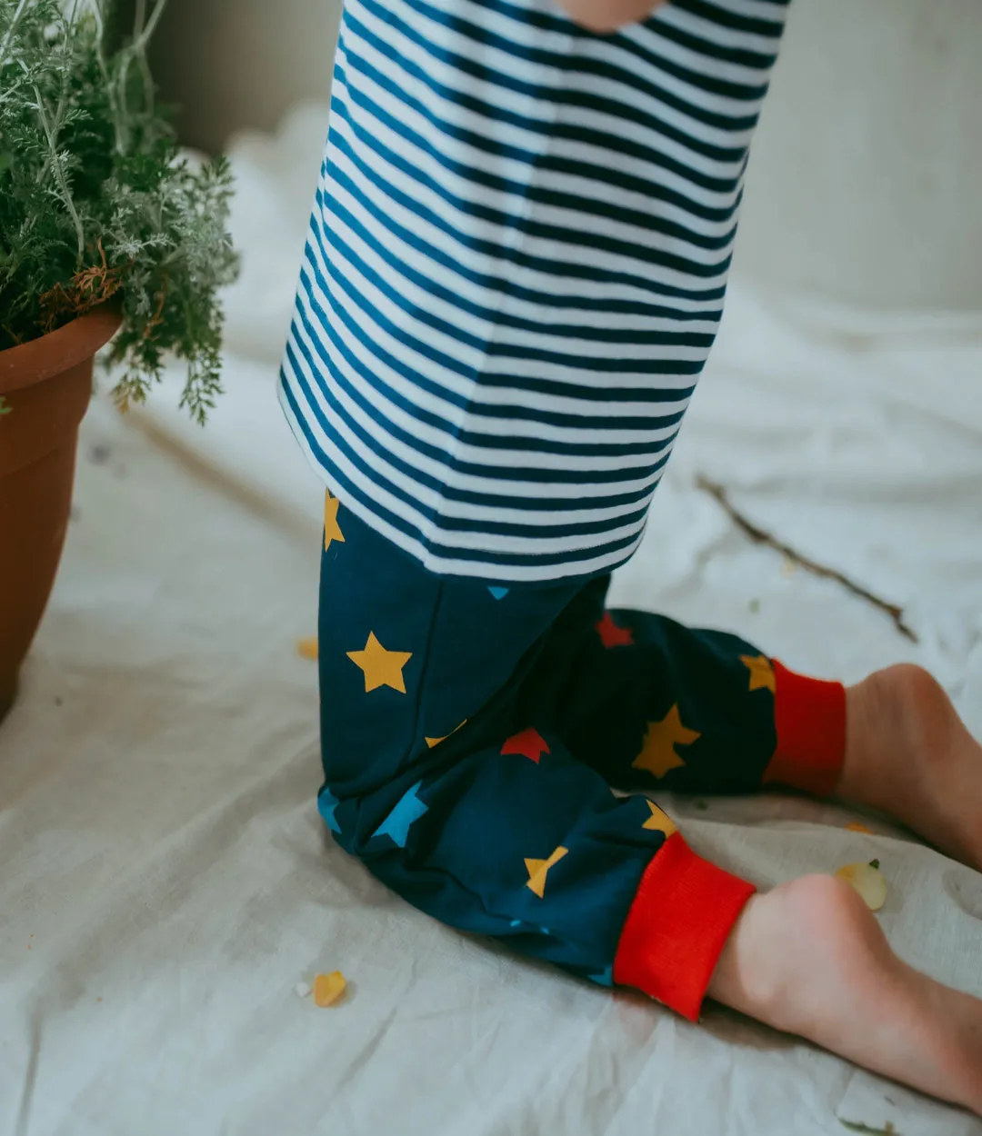 Navy Star Print Jogger