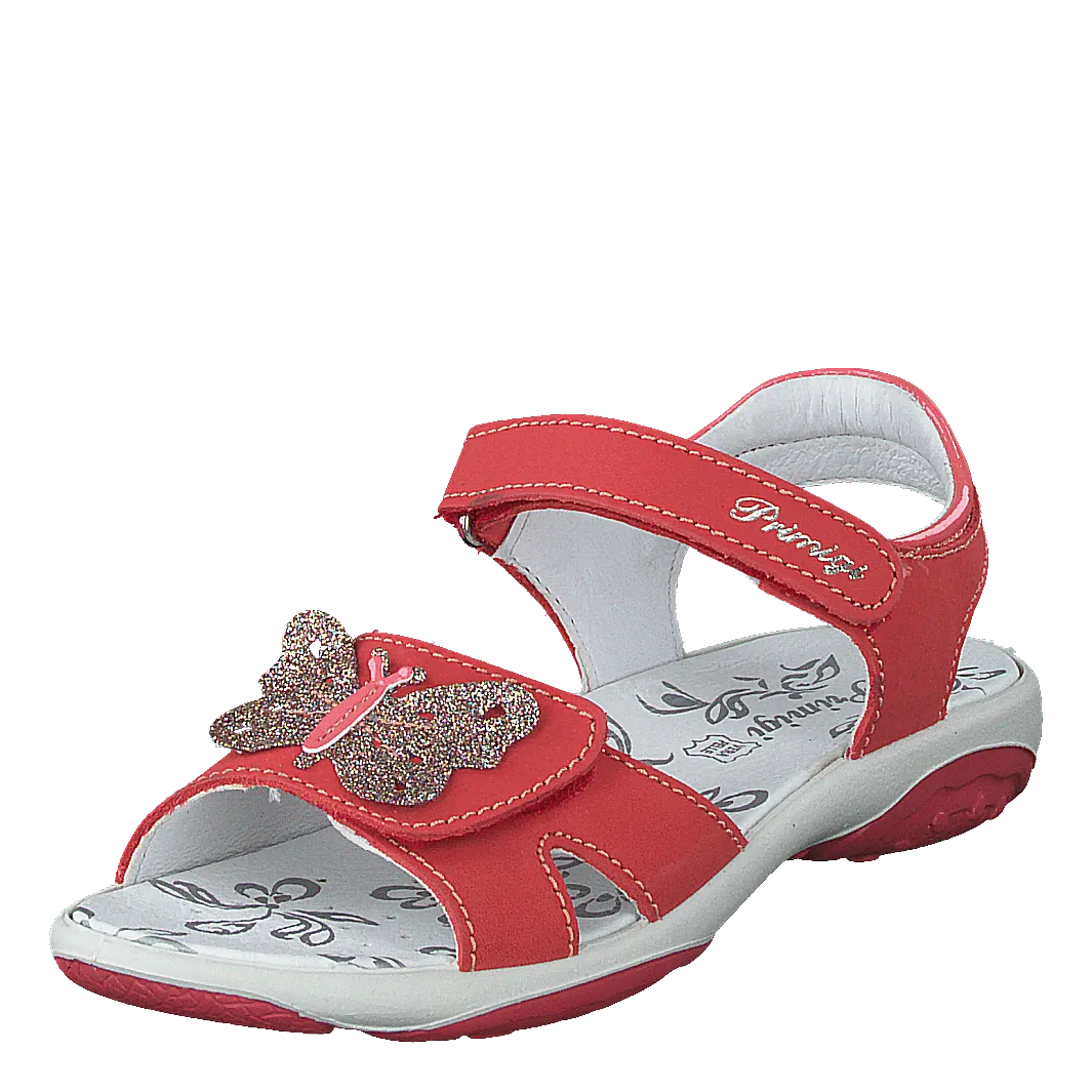 Pbr 73913 Tulipan/corallo