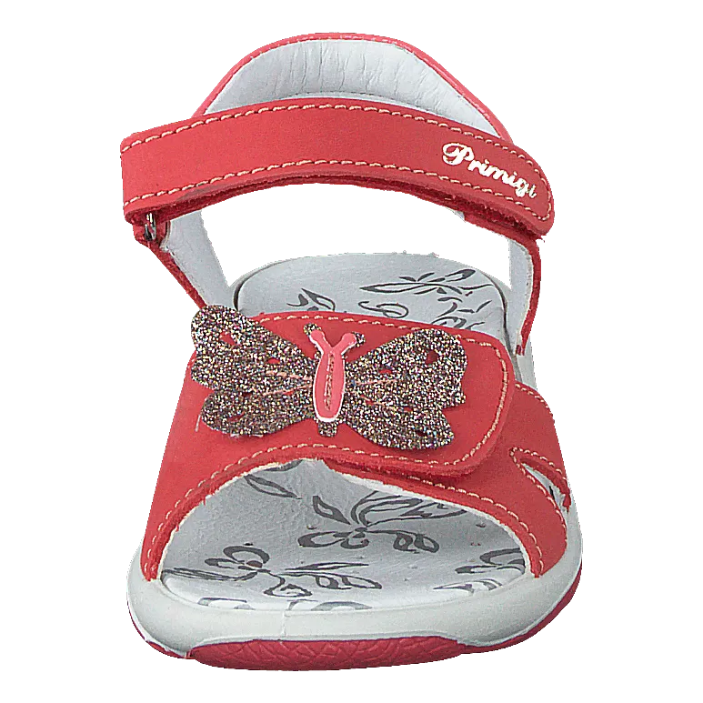 Pbr 73913 Tulipan/corallo