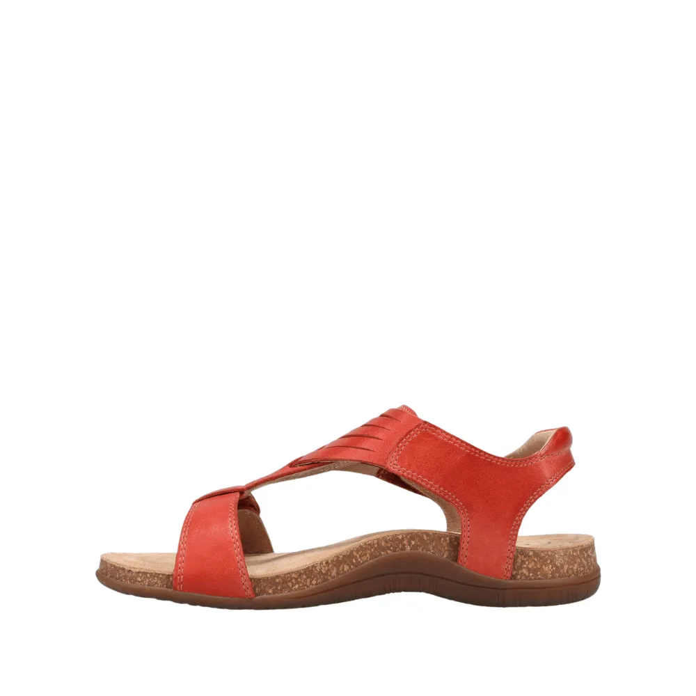 Wonderful | Leather | Bruschetta