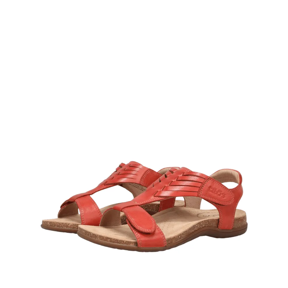 Wonderful | Leather | Bruschetta