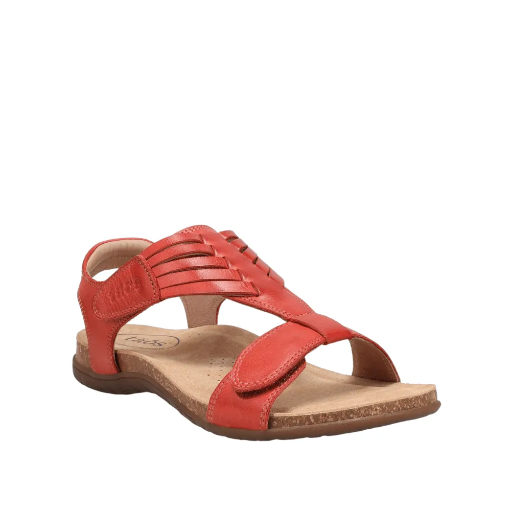 Wonderful | Leather | Bruschetta
