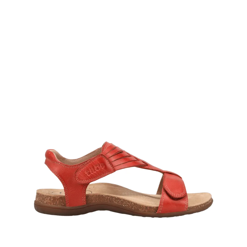 Wonderful | Leather | Bruschetta